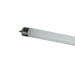 Tube fluorescent 21W 2700K...